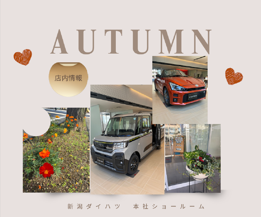 秋の店内ご紹介🍁